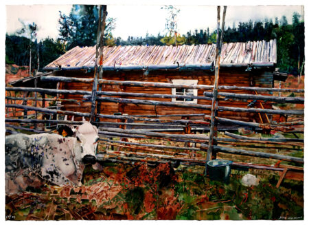 "Fjällko med kalv på Ransbysätern" av Albin Liljestrand